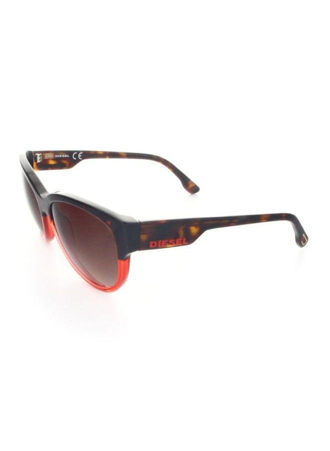 Cat-Eye Sunglasses - Lens Size: 57 mm