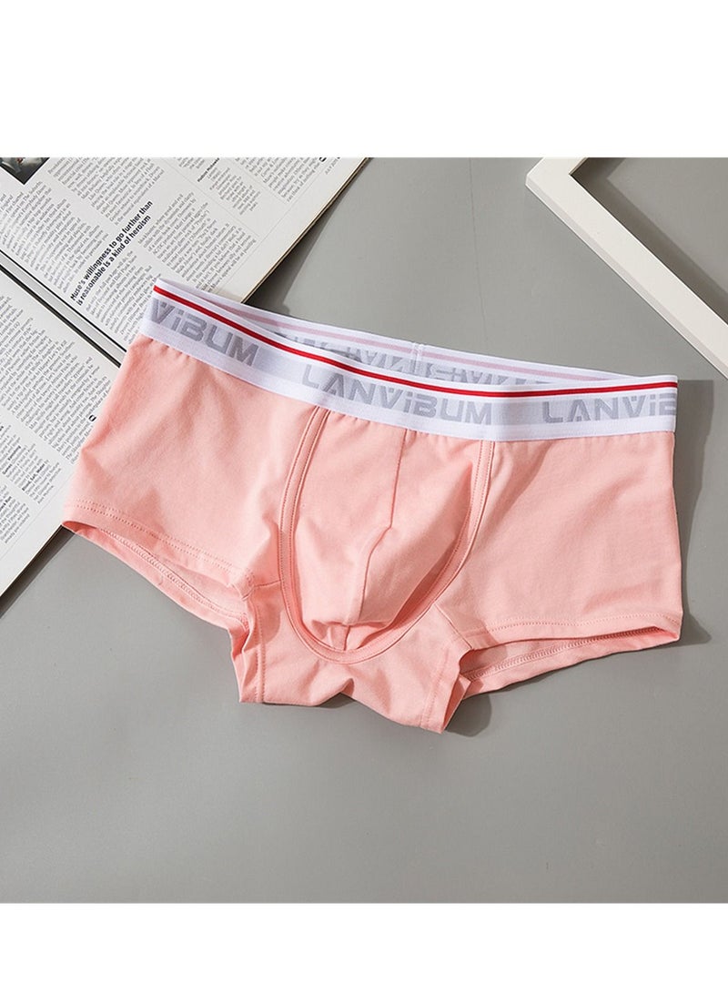 Student Youth Mid - Waist Cotton Boxers Solid Color Pink