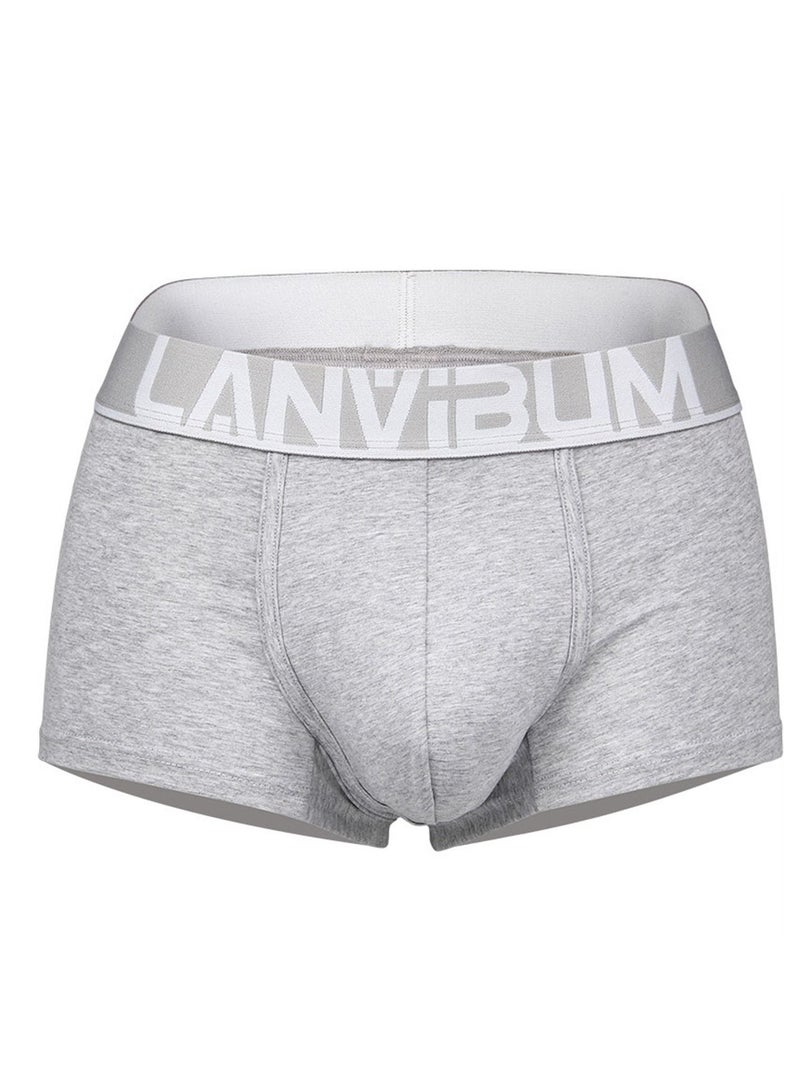 Student Youth Middle Waist Cotton Underwear Grey