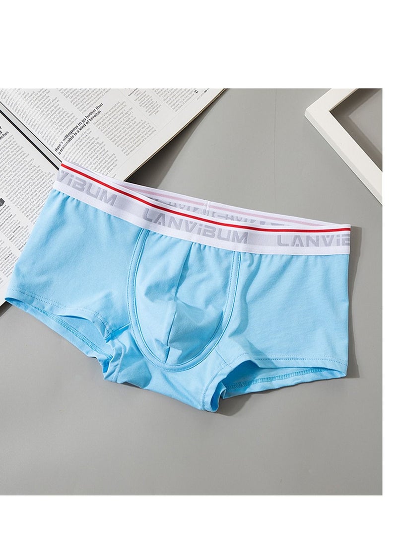 Student Youth Mid - Waist Cotton Boxers Solid Color Blue