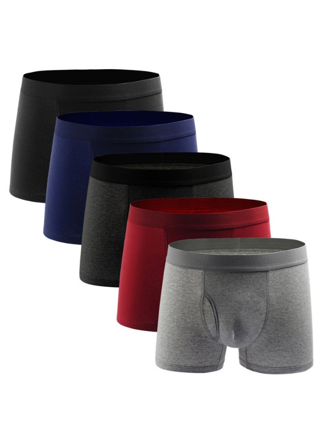 5-Piece Breathable Boxers Set Multicolour