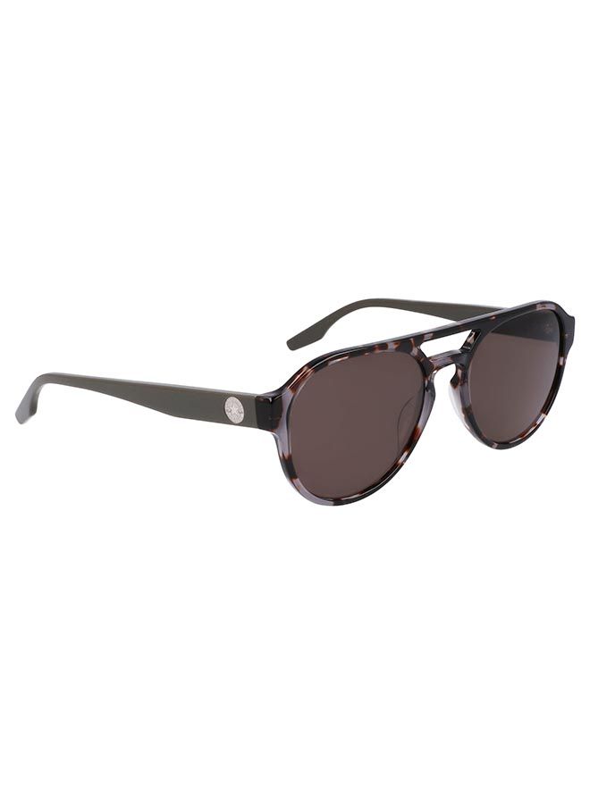 Men Aviator Sunglasses CV534S-062-5519 Lens Size :  55 mm