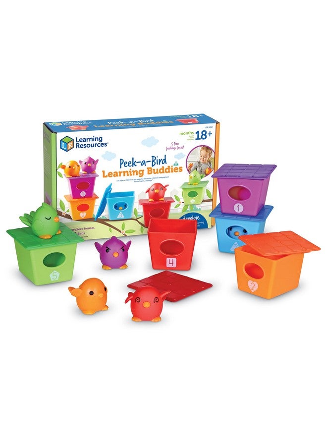 Peek A Bird Learning Buddies 15 Pieces Age 18 Months+ Toddler Learning Activities Preschool Toys Educational Toy For Color Teaching