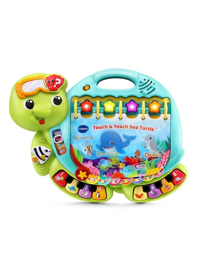Touch And Teach Sea Turtle Interactive Learning Book Green