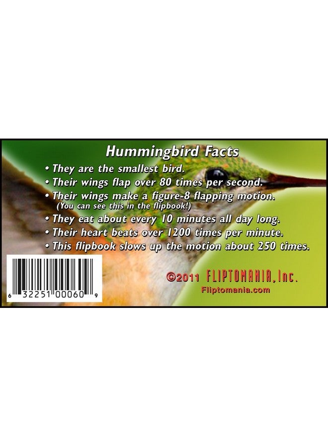 Nature Flipbook 3 Pack Butterfly Hummingbird And Frog Flipbooks