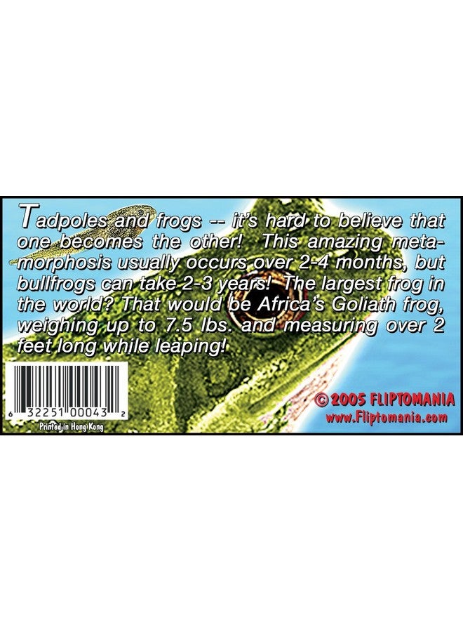 Nature Flipbook 3 Pack Butterfly Hummingbird And Frog Flipbooks