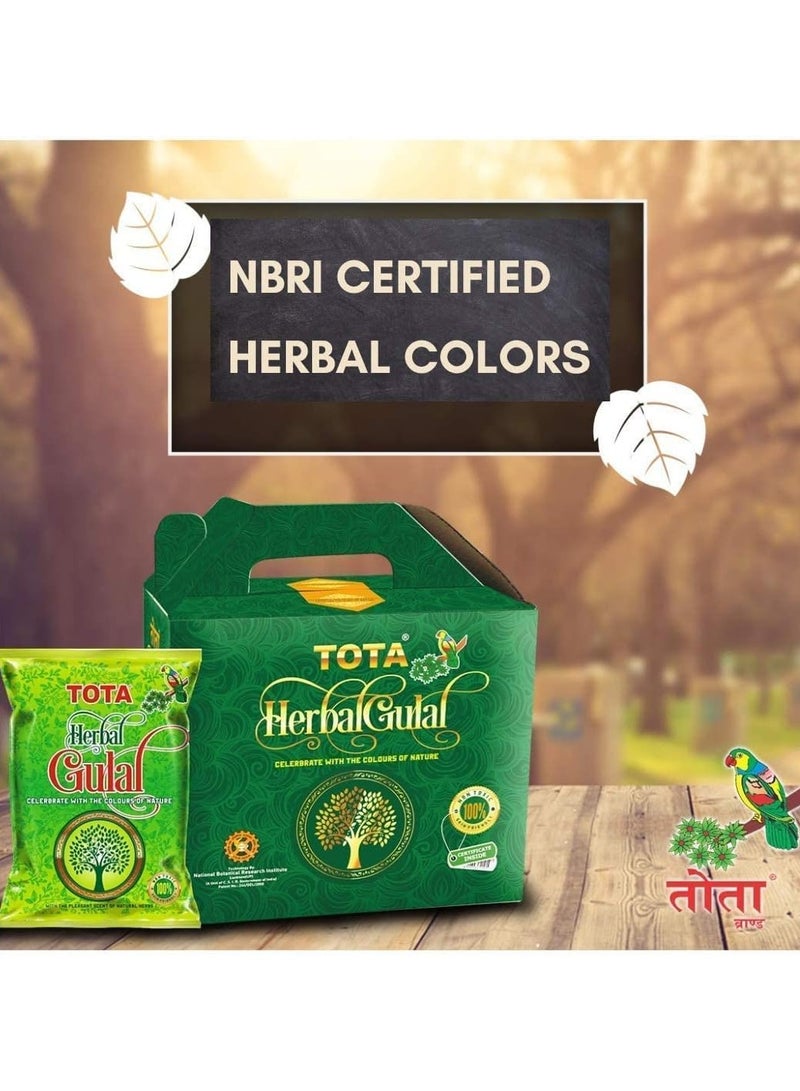 Total Herbal Gulal 100 g x 5 packs, total 500-gram different colours