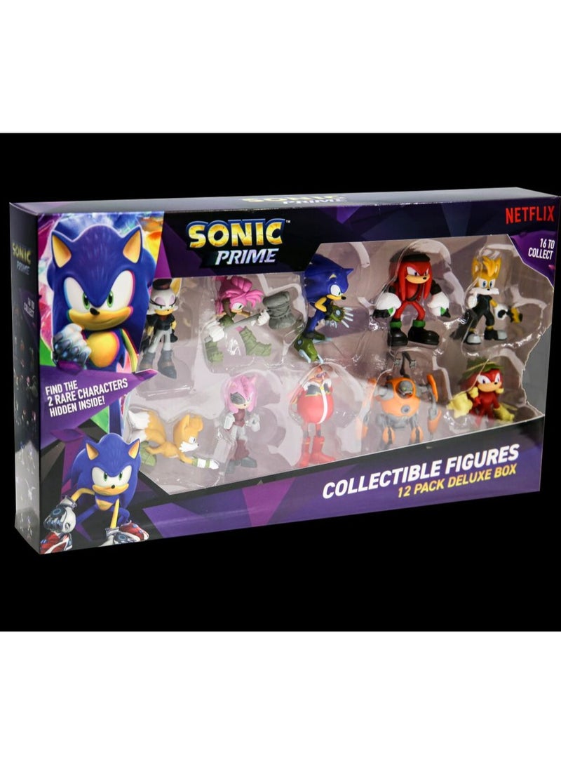 Sonic Figures 12 Pack Deluxe Box  with 2 Rare Hidden Characters