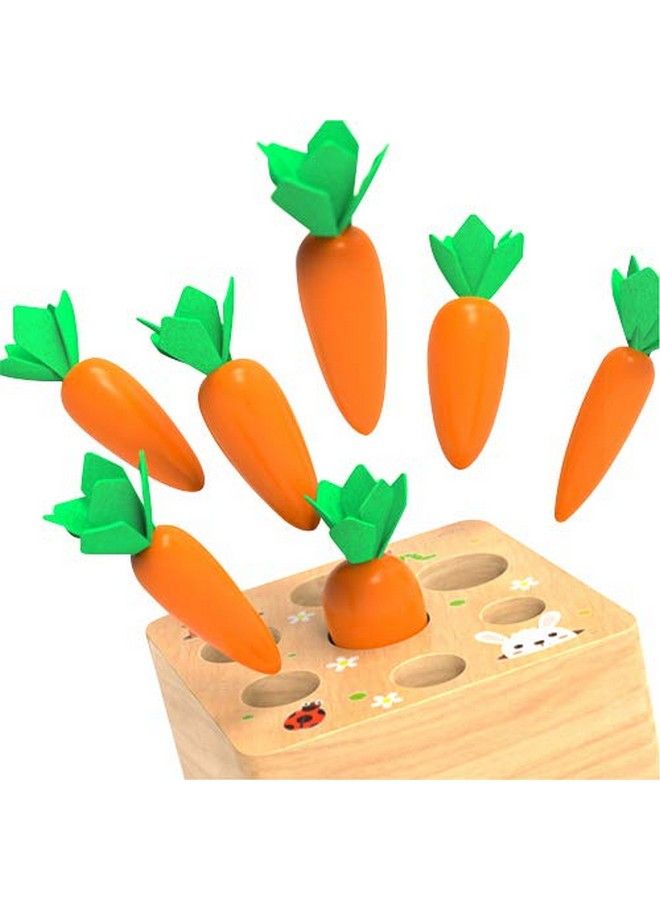 Carrot Harvest Game Wooden Toy For Baby Boys And Girls 1 2 3 Year Old Educational Shape Sorting Matching Puzzle Gift Toy With 7 Sizes Carrots.Great Montessori Toy For Toddlers 13