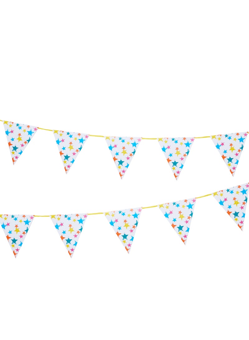 Birthday Star Eco Paper Flags