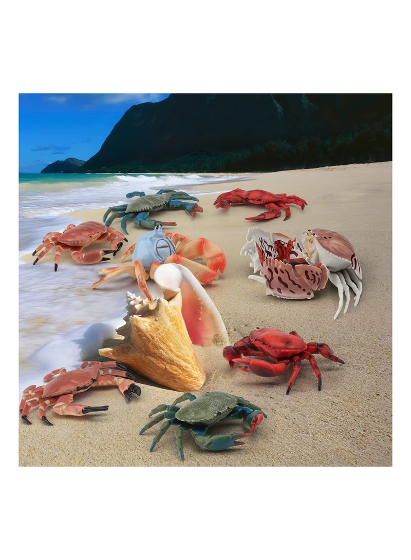 Marine Animal Model Ocean Sea Animals Figures 8 PCS Realistic Crab Figurines Party Hermit Family Favors Supplies Cake Toppers Set Toys for Boys