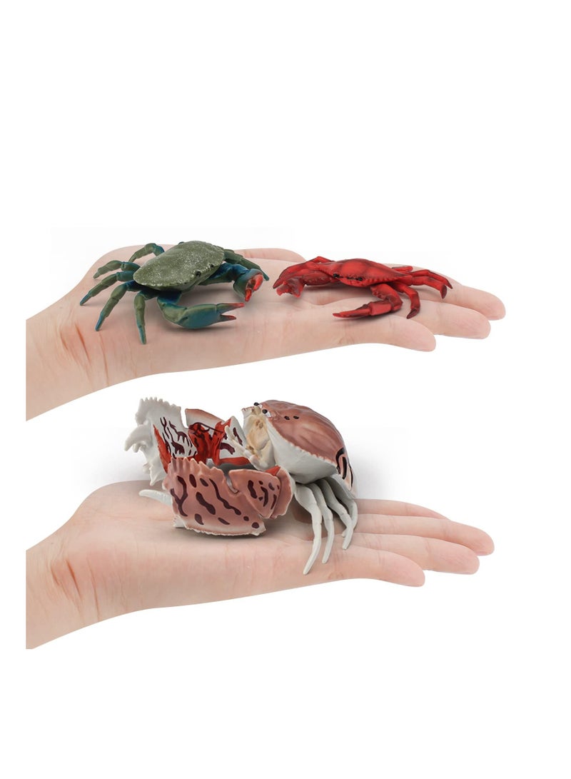 Marine Animal Model Ocean Sea Animals Figures 8 PCS Realistic Crab Figurines Party Hermit Family Favors Supplies Cake Toppers Set Toys for Boys