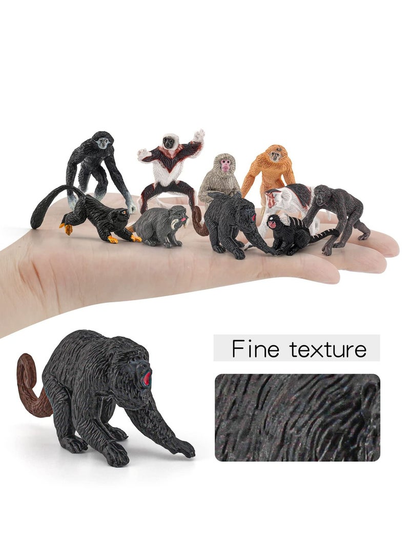 10 PCS Various Monkeys and Gorillas Figurines Playset, Proboscis Japanese Macaques Marmosets Gibbons Lemurs, Cake Toppers Birthday Gift for Kids Todllers