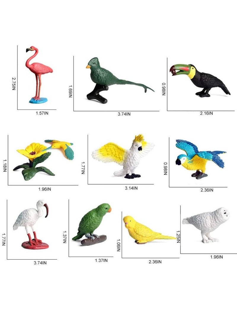 Mini Bird Animal Model Parrot Figure Realistic Plastic Playset Decorative Ornament for Boys Girls Kids Preschool Education Party Cake Cupcake Toppers (10 Pack)