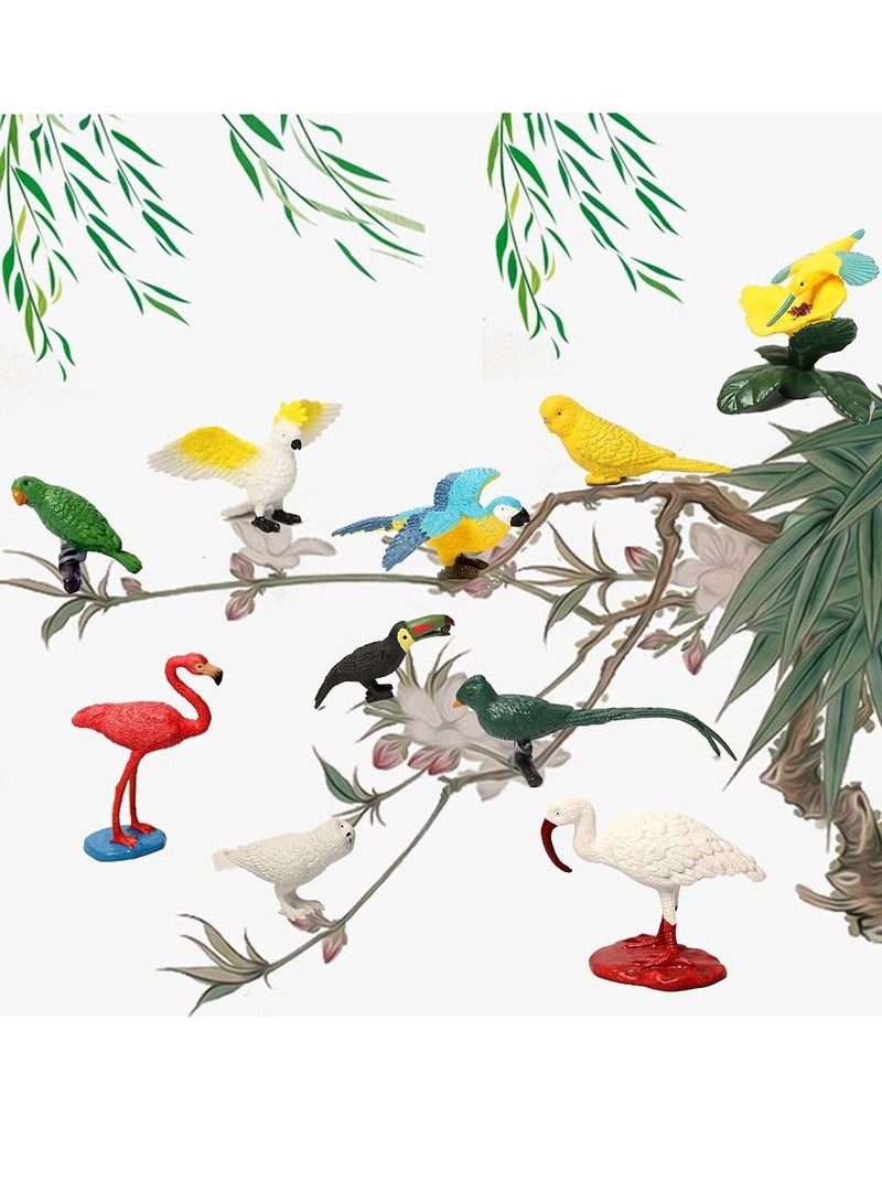 Mini Bird Animal Model Parrot Figure Realistic Plastic Playset Decorative Ornament for Boys Girls Kids Preschool Education Party Cake Cupcake Toppers (10 Pack)