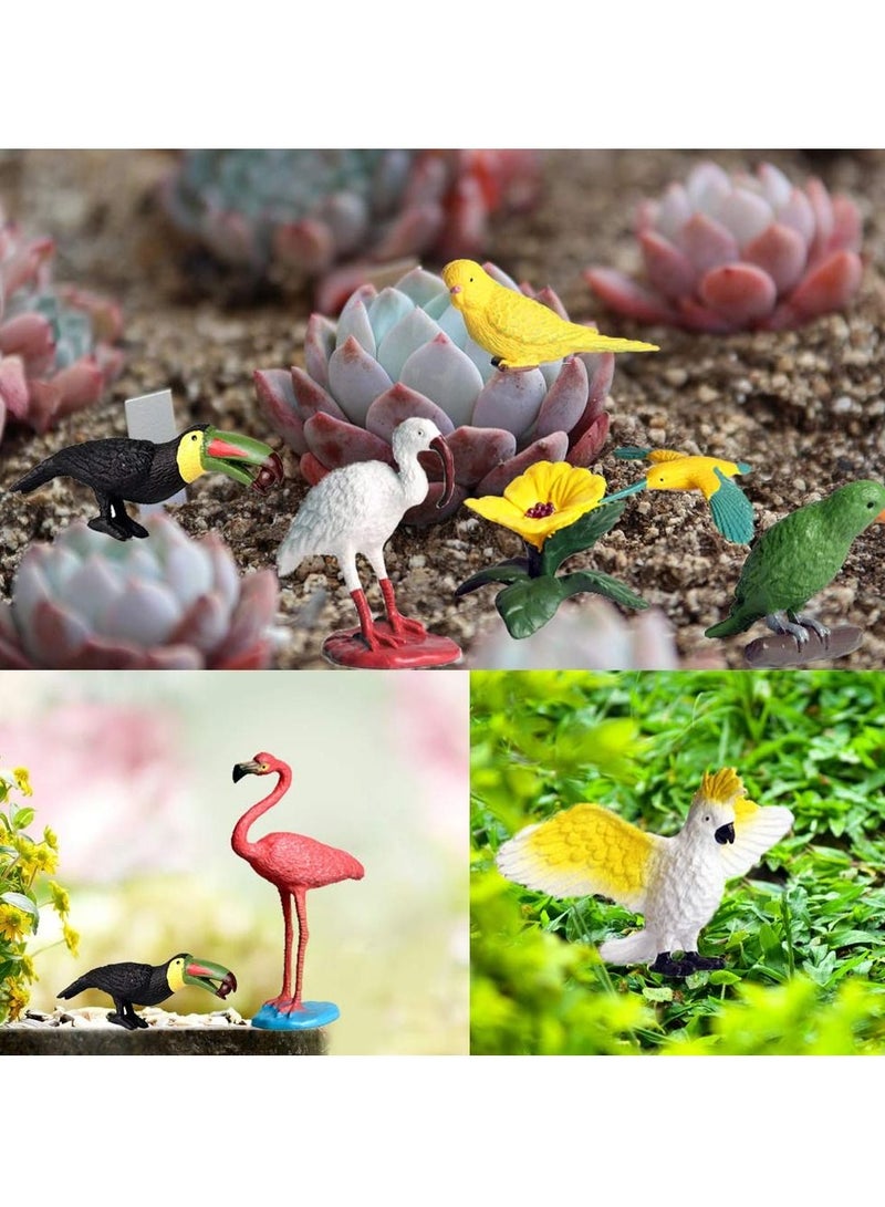 Mini Bird Animal Model Parrot Figure Realistic Plastic Playset Decorative Ornament for Boys Girls Kids Preschool Education Party Cake Cupcake Toppers (10 Pack)