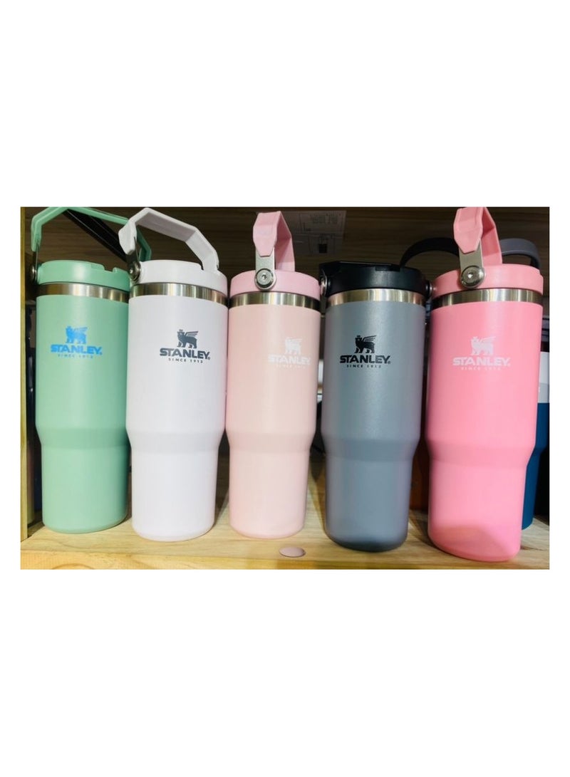 Stanley Insulated mug with straw lid, for water, Iced Tea or Coffee, Juice and Smoothie 30 oz.