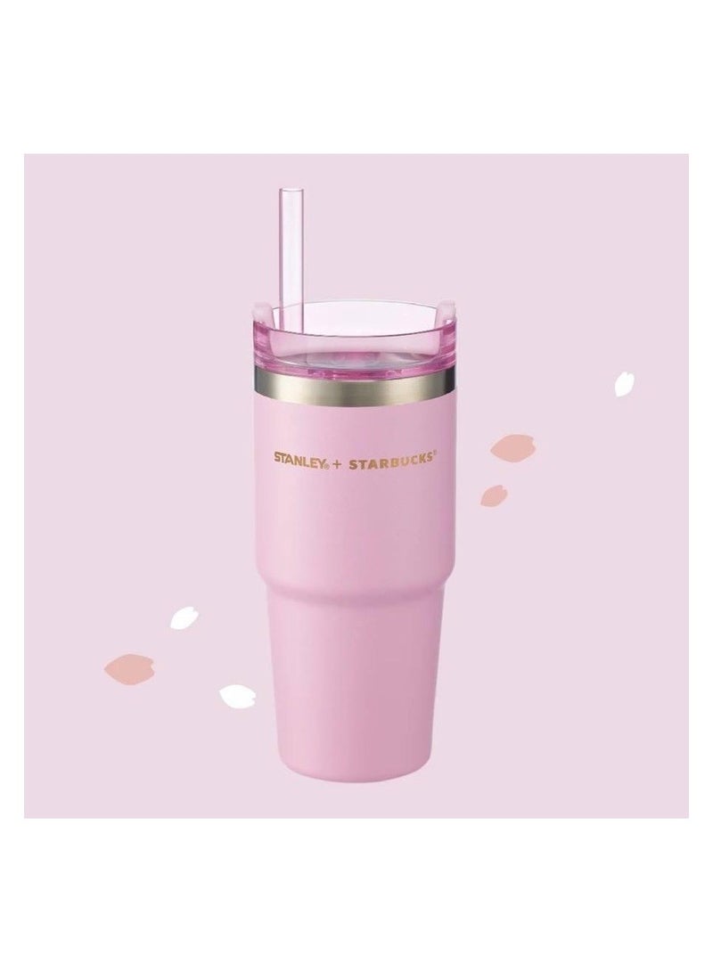 Stanley Insulated mug with straw lid, for water, Iced Tea or Coffee, Juice and Smoothie 20 oz.