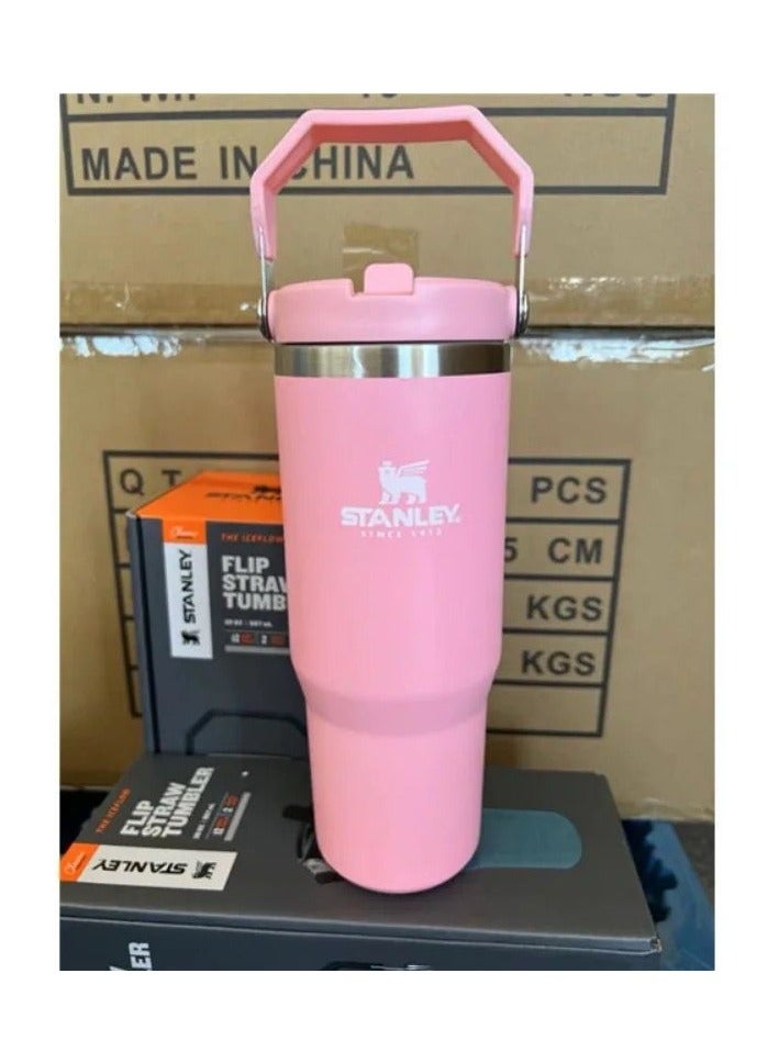 Stanley Insulated mug with straw lid, for water, Iced Tea or Coffee, Juice and Smoothie 30 oz.