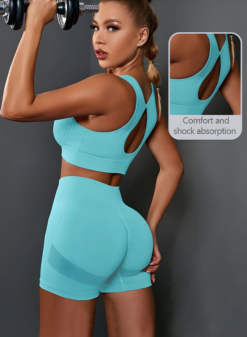 Workout Sets for Women 2 Piece Seamless Ribbed Crop Tank High Waist Shorts Yoga Outfits(L)