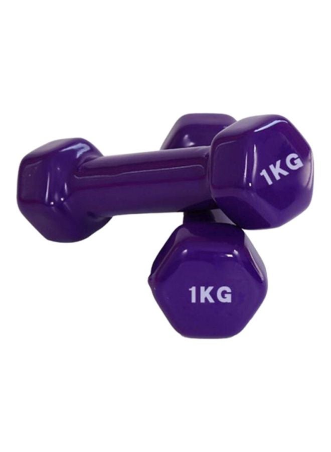 2-Piece Dumbbell Set 2kg