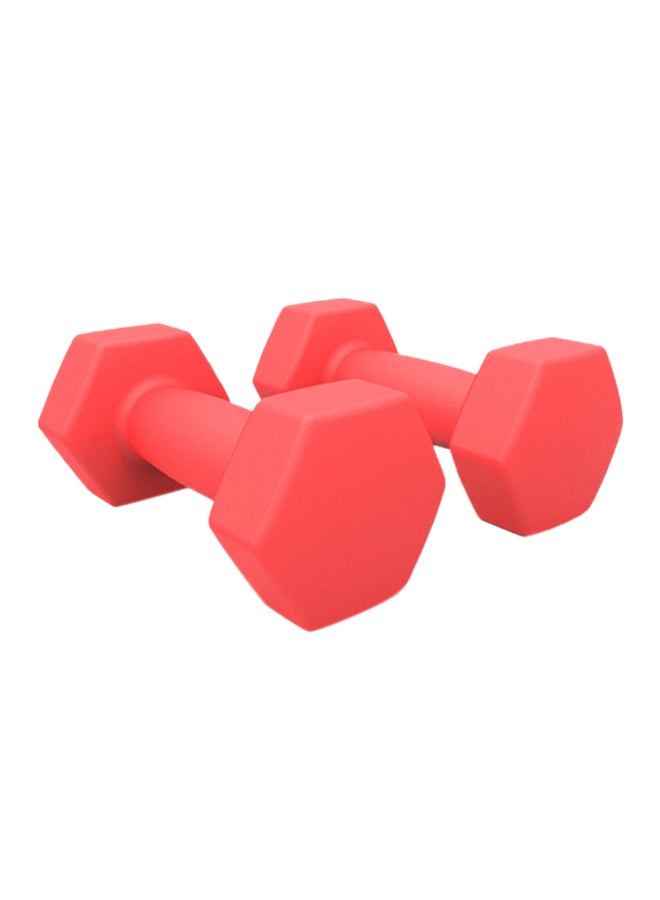 Set Of Dumbbells 2x5 Kg 5kg