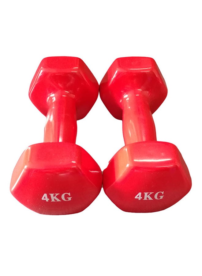 Set Of 2 Dumbbells 2x4kg