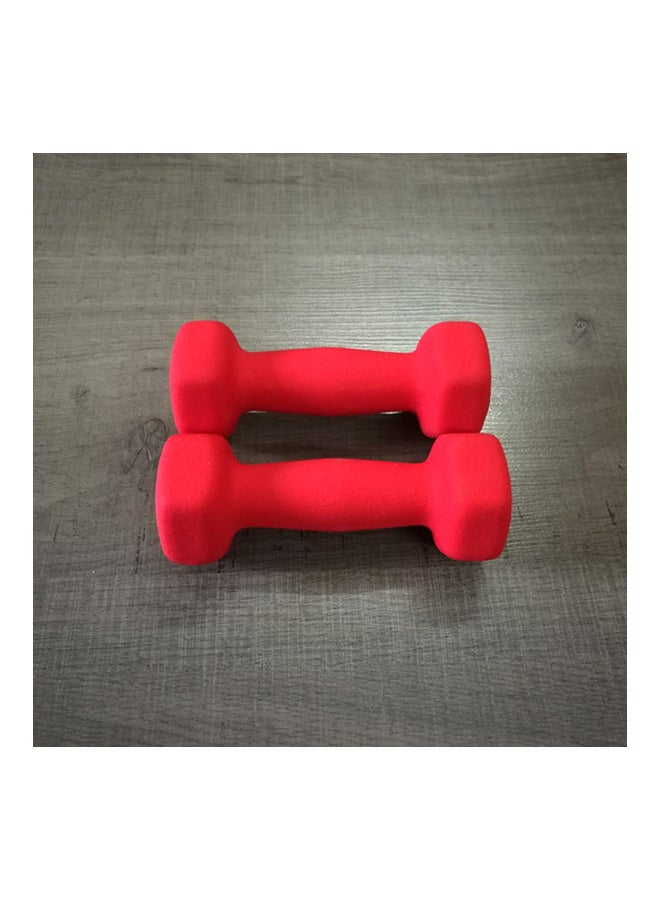 Set Of 2 Dumbbells 2x4kg