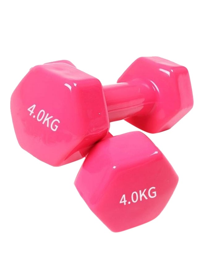 Set Of Dumbbells 2x4 Kg 4kg