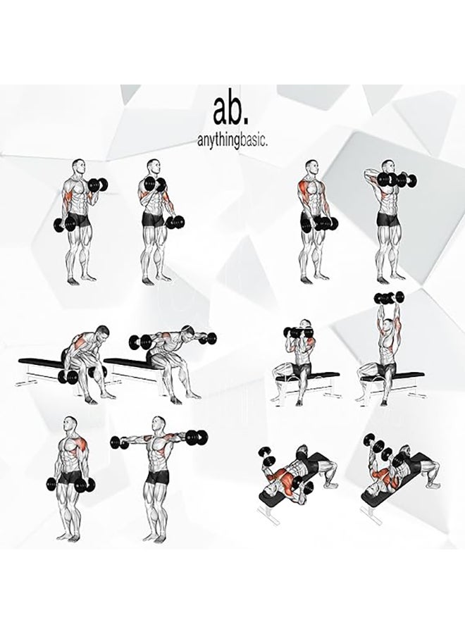 Adjustable PVC Dumbbell Set of 12Kg (26.4LB) Includes 4 Plates * 3Kg (6.6LB) , 14'' Dumbbell Rod Pair & Nuts | Black | Material : Polyvinyl Chloride | Fitness Kit for Men and Women