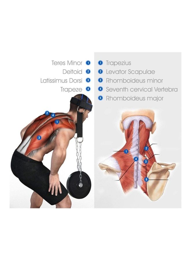 Neck Head Harness Adjustable Power Training Belt Exercise Strap 18.3 x 16 x 6.8cm