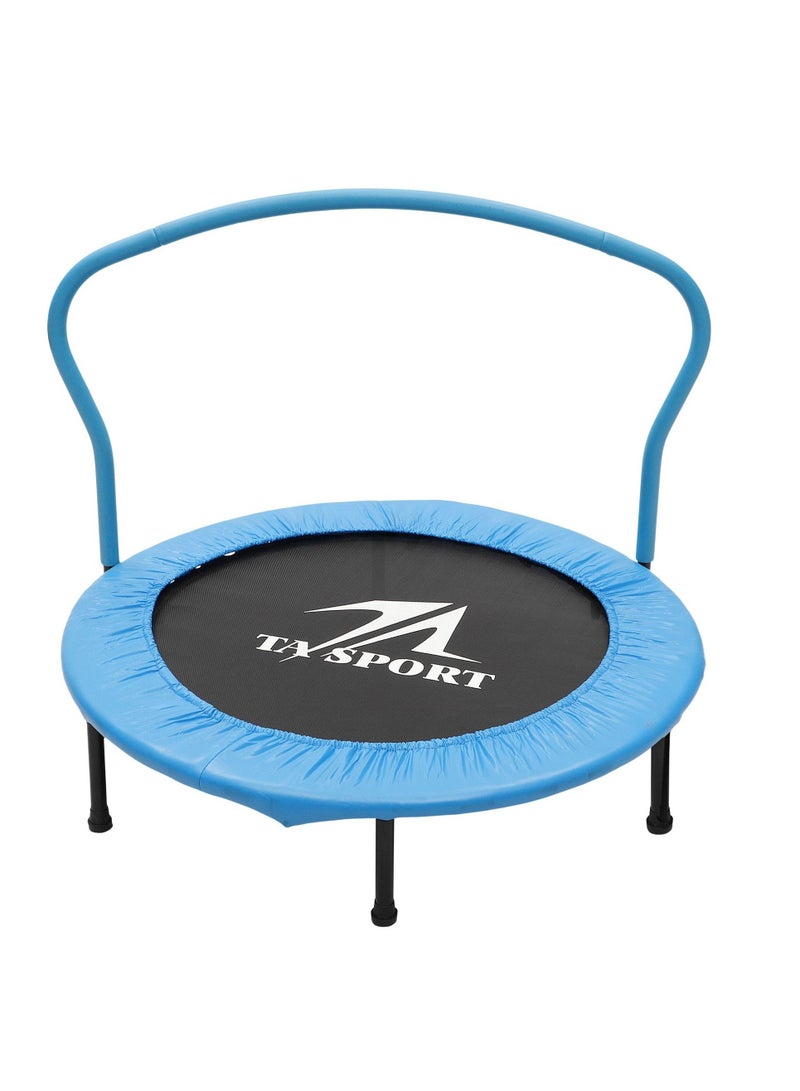 Trampoline With Handrail