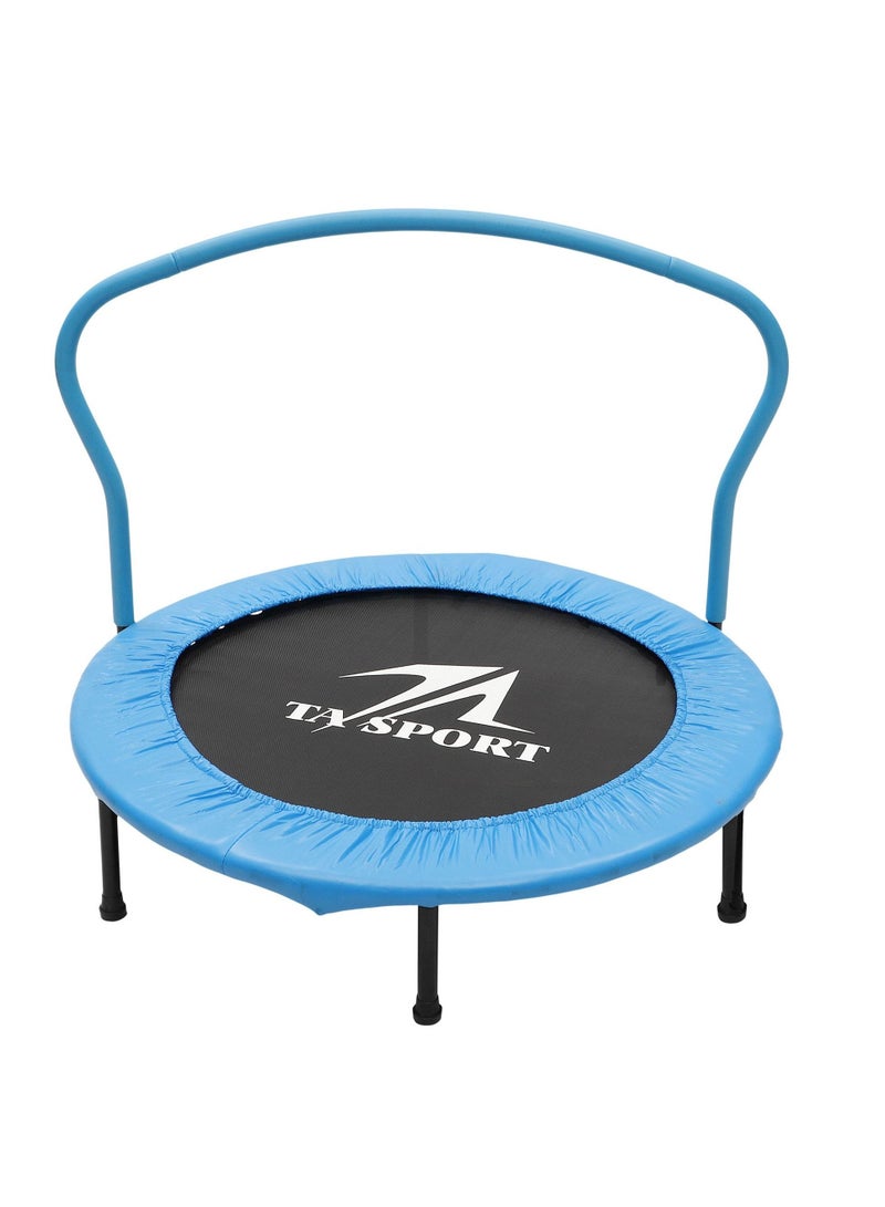 Trampoline With Handrail