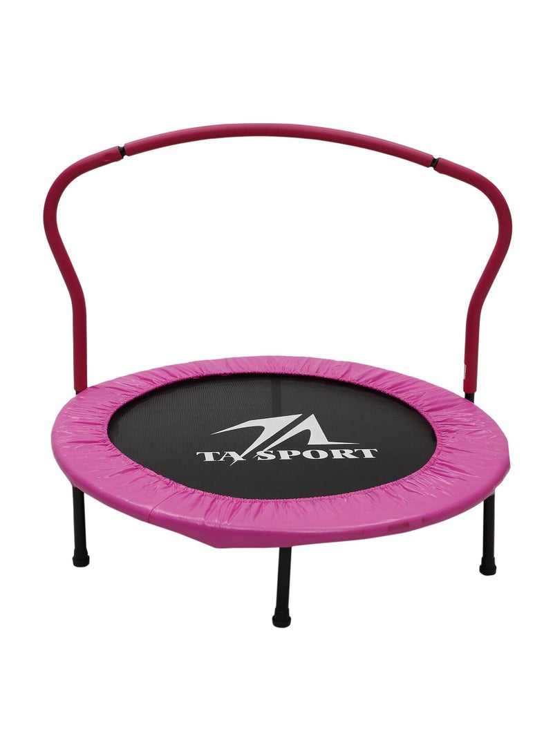 Trampoline With Handrail