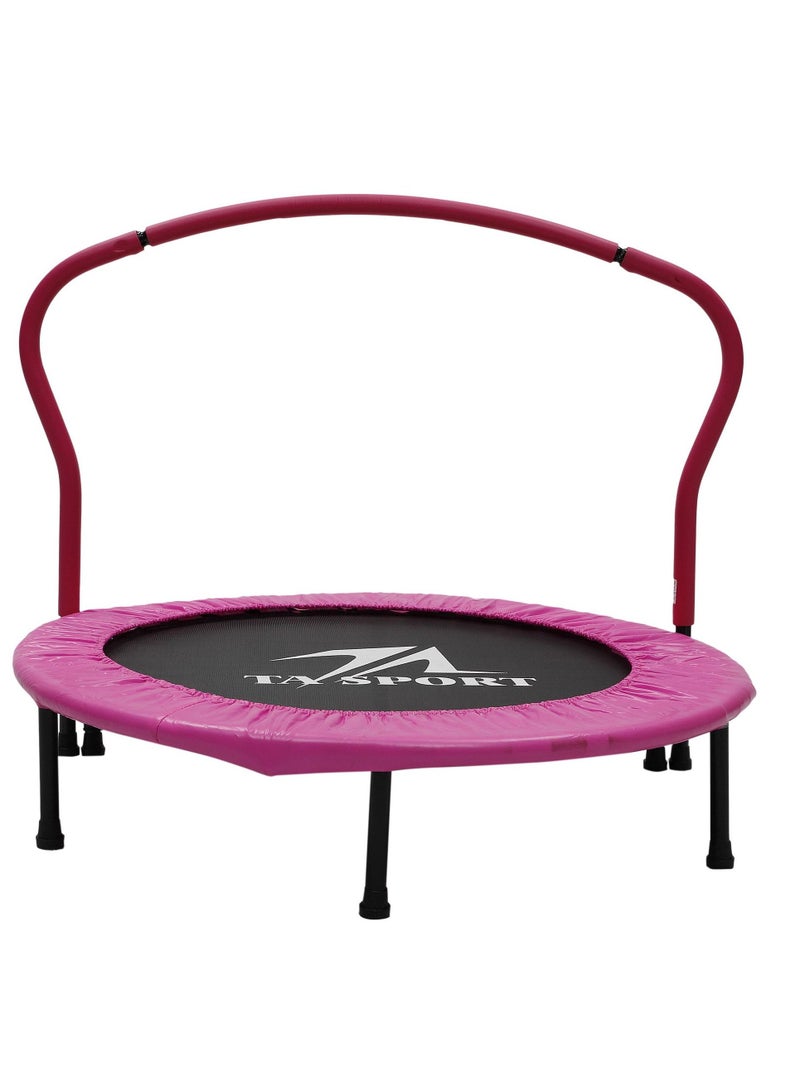 Trampoline With Handrail