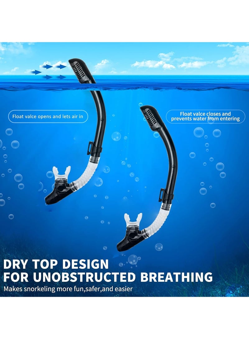 Dry Snorkel Set Adults Professional,Anti-fog Diving Mask 180° Panoramic Ultra-Clear Snorkel Mask Anti-leak Diving Tube Set Free Breath Scuba Diving Goggle Adjustable for Men Women
