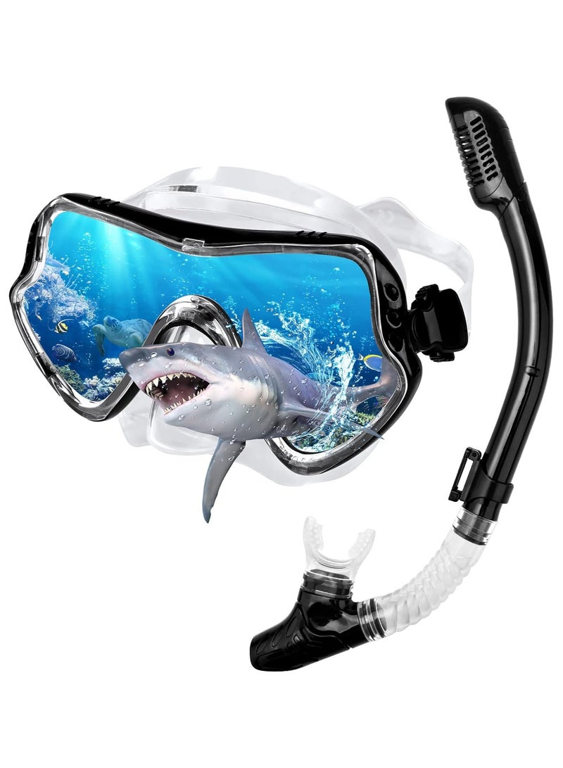 Dry Snorkel Set Adults Professional,Anti-fog Diving Mask 180° Panoramic Ultra-Clear Snorkel Mask Anti-leak Diving Tube Set Free Breath Scuba Diving Goggle Adjustable for Men Women