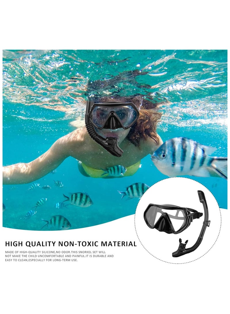 Dry Snorkel Set Adults Professional,Anti-fog Diving Mask 180° Panoramic Ultra-Clear Snorkel Mask Anti-leak Diving Tube Set Free Breath Scuba Diving Goggle Adjustable for Men Women