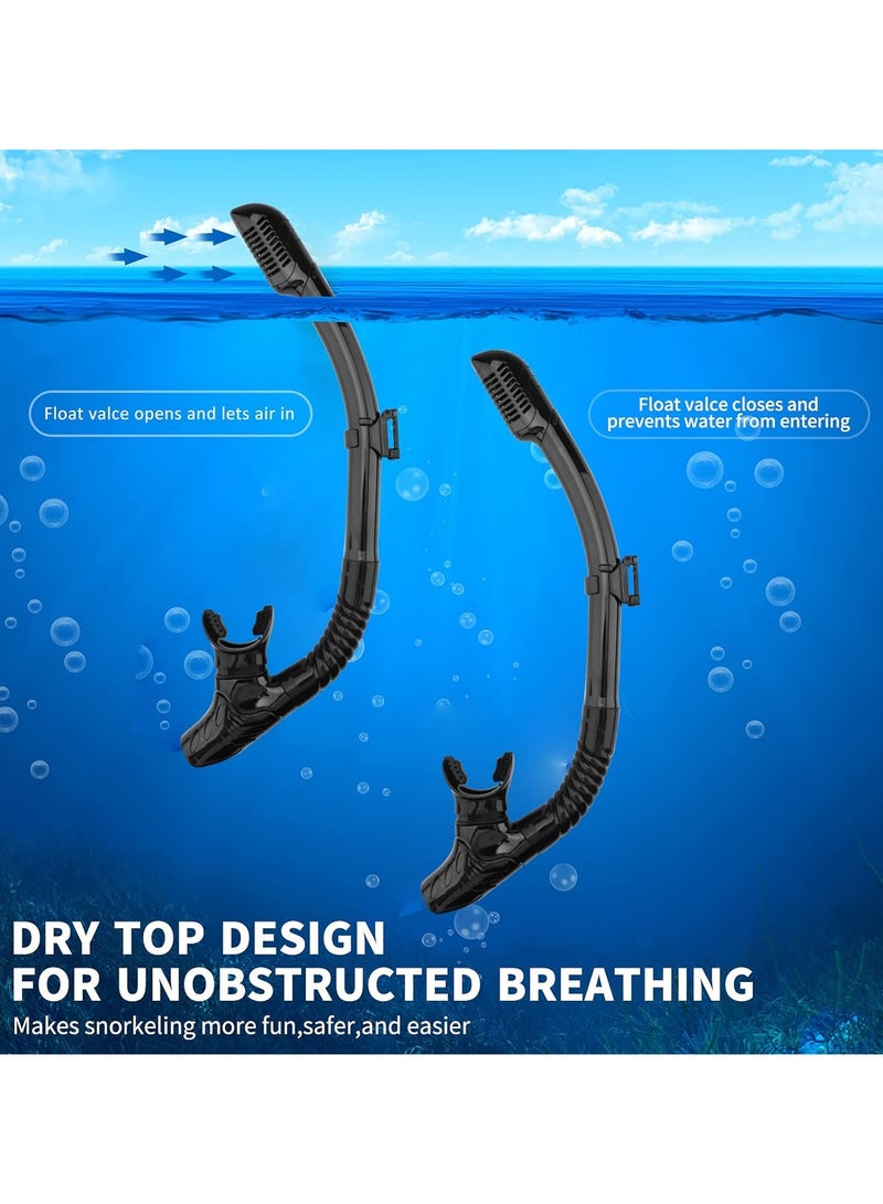 Dry Snorkel Set Adults Professional,Anti-fog Diving Mask 180° Panoramic Ultra-Clear Snorkel Mask Anti-leak Diving Tube Set Free Breath Scuba Diving Goggle Adjustable for Men Women