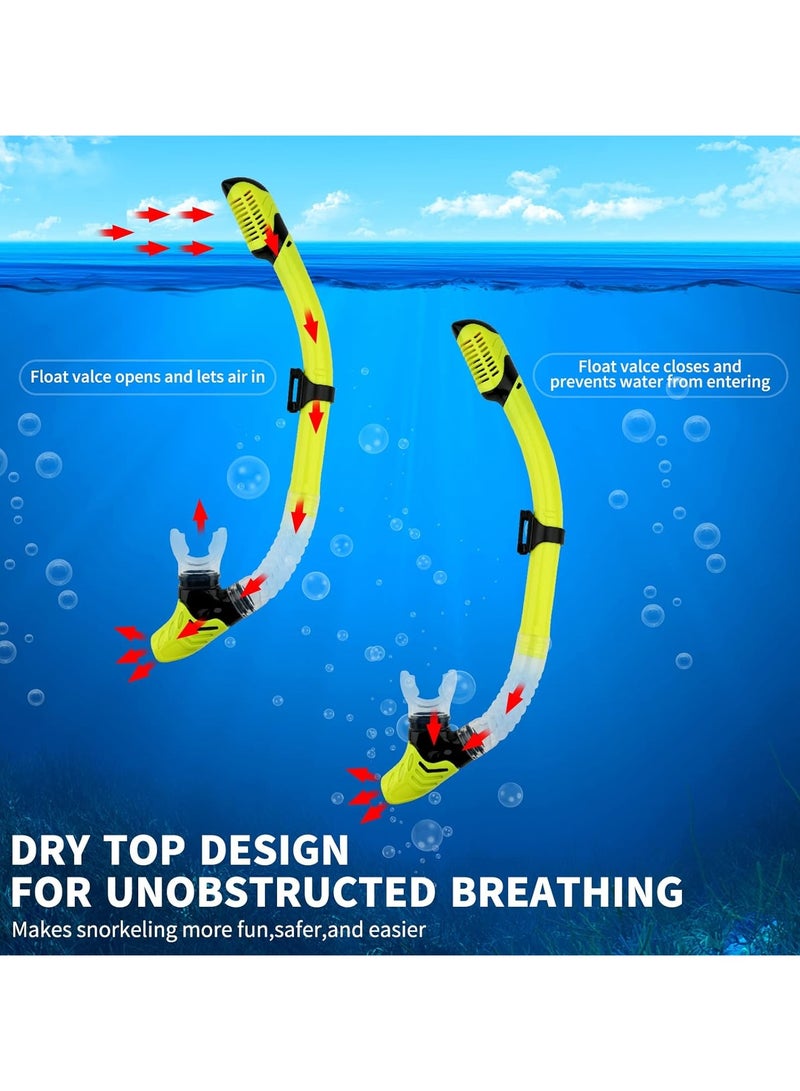 Dry Snorkel Set Adults Professional,Anti-fog Diving Mask 180° Panoramic Ultra-Clear Snorkel Mask Anti-leak Diving Tube Set Free Breath Scuba Diving Goggle Adjustable for Men Women