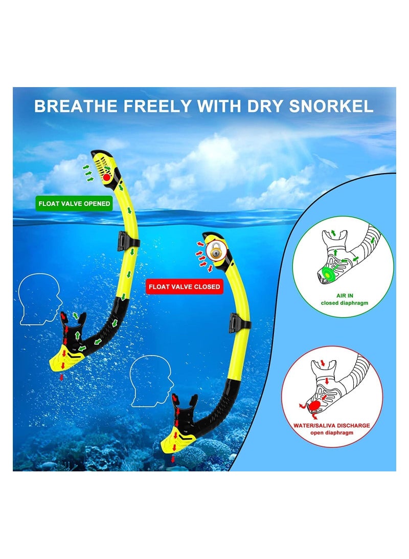Snorkel Set Adults, 3 Piece Diving with Flippers, Mask and for Men Women, Snorkelling Anti-Fog Mask,Dry Snorkel,Swimming Fins,Diving Equipment