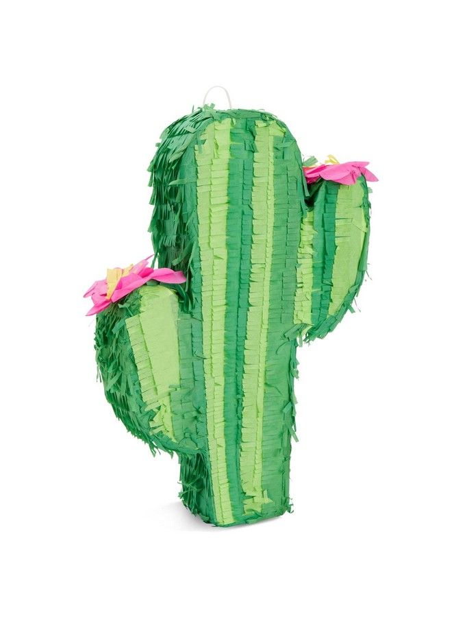 Small Cactus Pinata For Kids Birthday, Baby Shower, Cinco De Mayo, Mexican Fiesta Party Decorations (17 X 11.5 In)