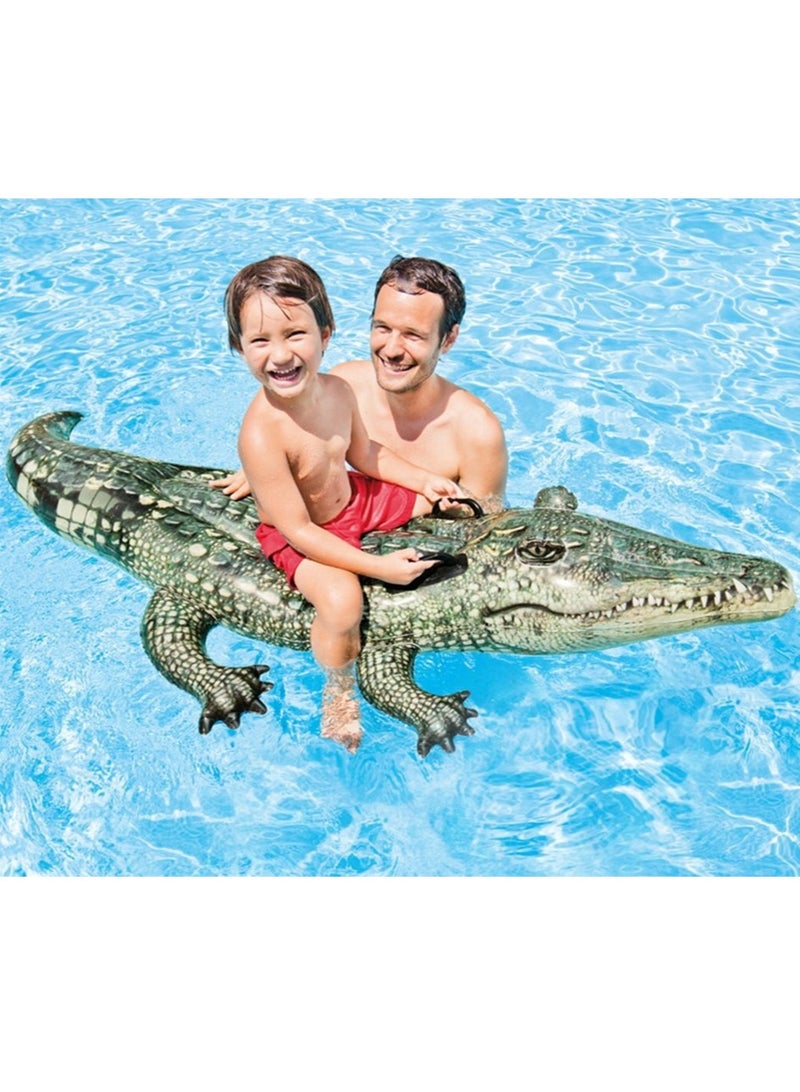 Children's aquatic animals, inflatable mounts, adult swimming floats, inflatable floats, and swimming rings170cm*86cm