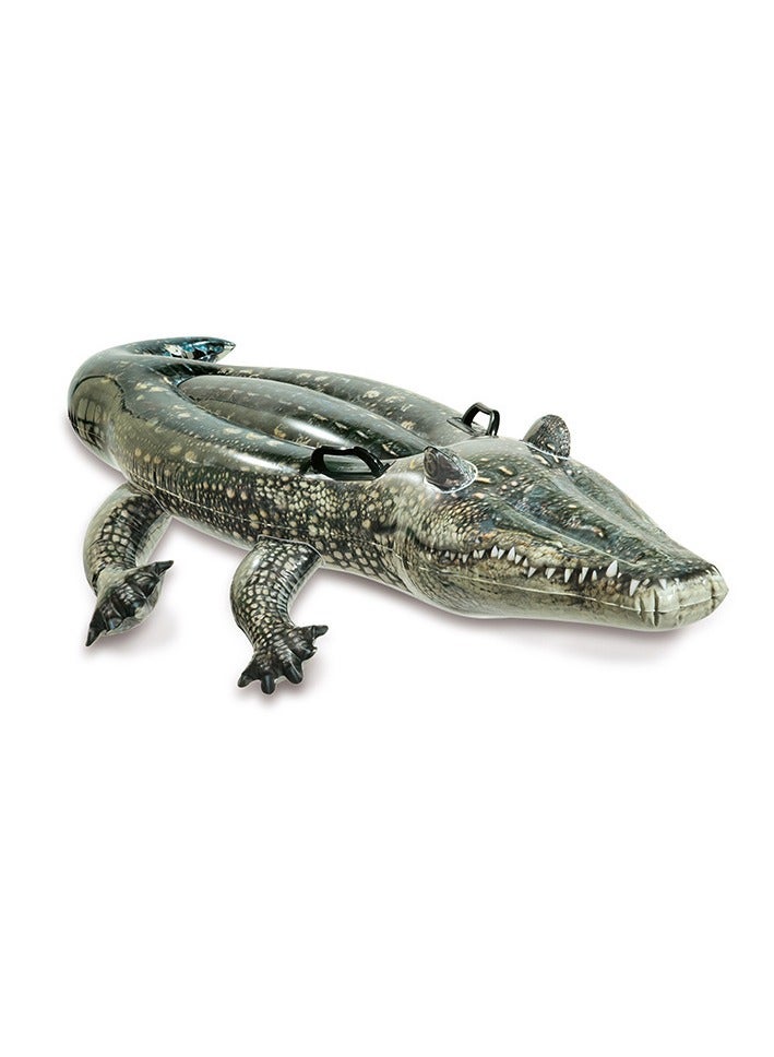 Children's aquatic animals, inflatable mounts, adult swimming floats, inflatable floats, and swimming rings170cm*86cm