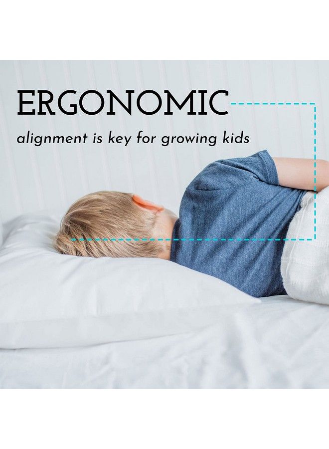 Toddler Pillow With Toddler Pillowcase Soft Hypoallergenic Best Pillow For Kids! Better Neck Support And Sleeping! Better Naps In Bed A Crib Or At School! Makes Travel Comfier! (White)