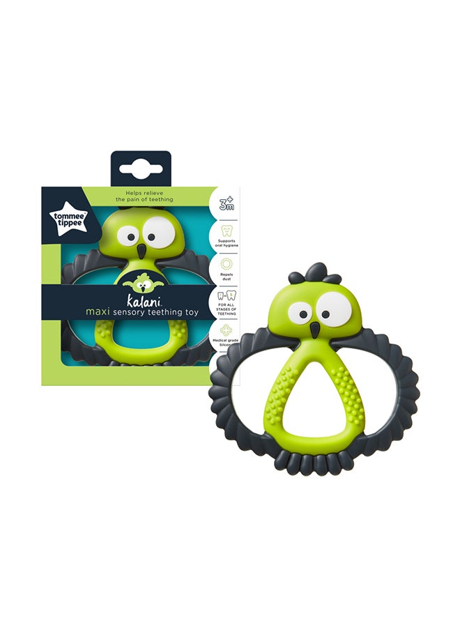 Kalani Maxi Sensory Teething ToyFor Babies, Medical Grade Silicone Teether, 3m+