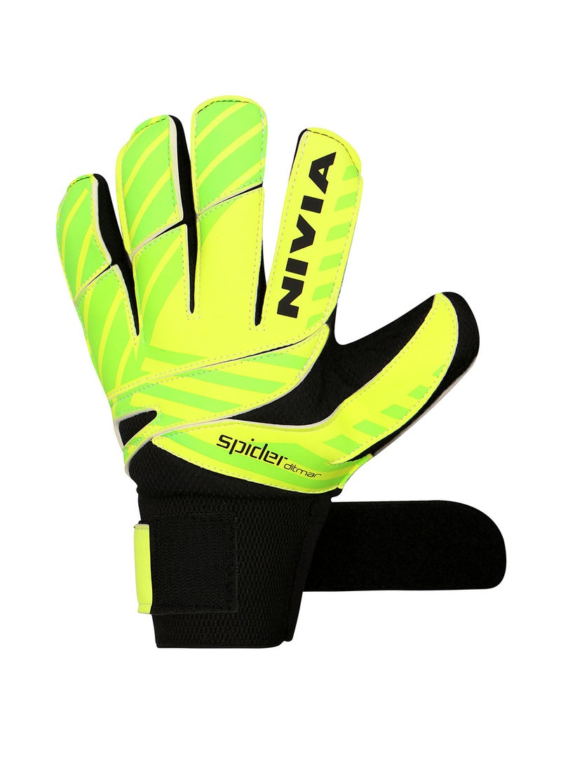 Ditmar spider goalkeeper gloves