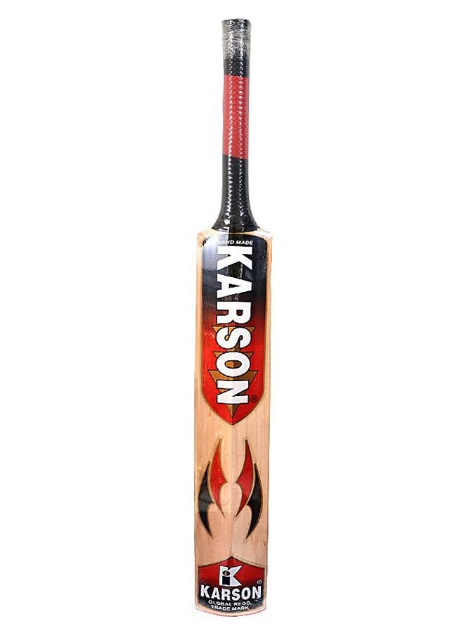 2015 World Cup Edition Cricket Bat