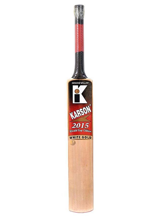 2015 World Cup Edition Cricket Bat