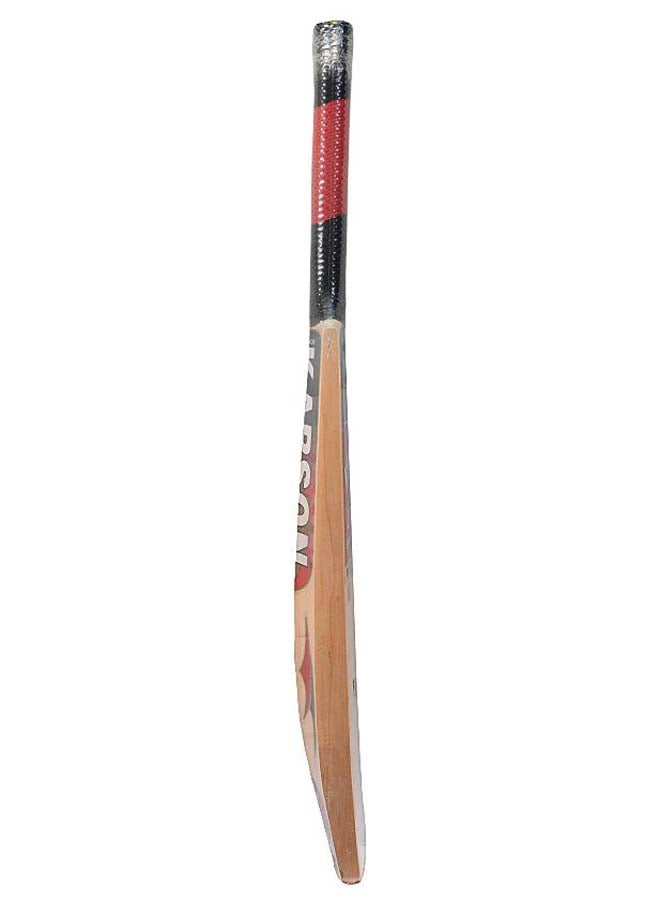 2015 World Cup Edition Cricket Bat